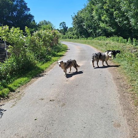 ブレゾン Le Mouton Bed & Breakfast エクステリア 写真