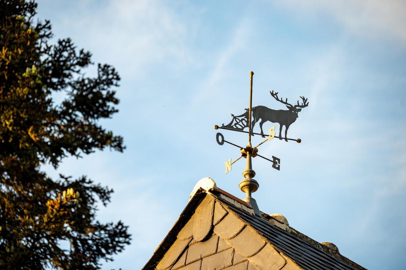 ブレゾン Le Mouton Bed & Breakfast エクステリア 写真