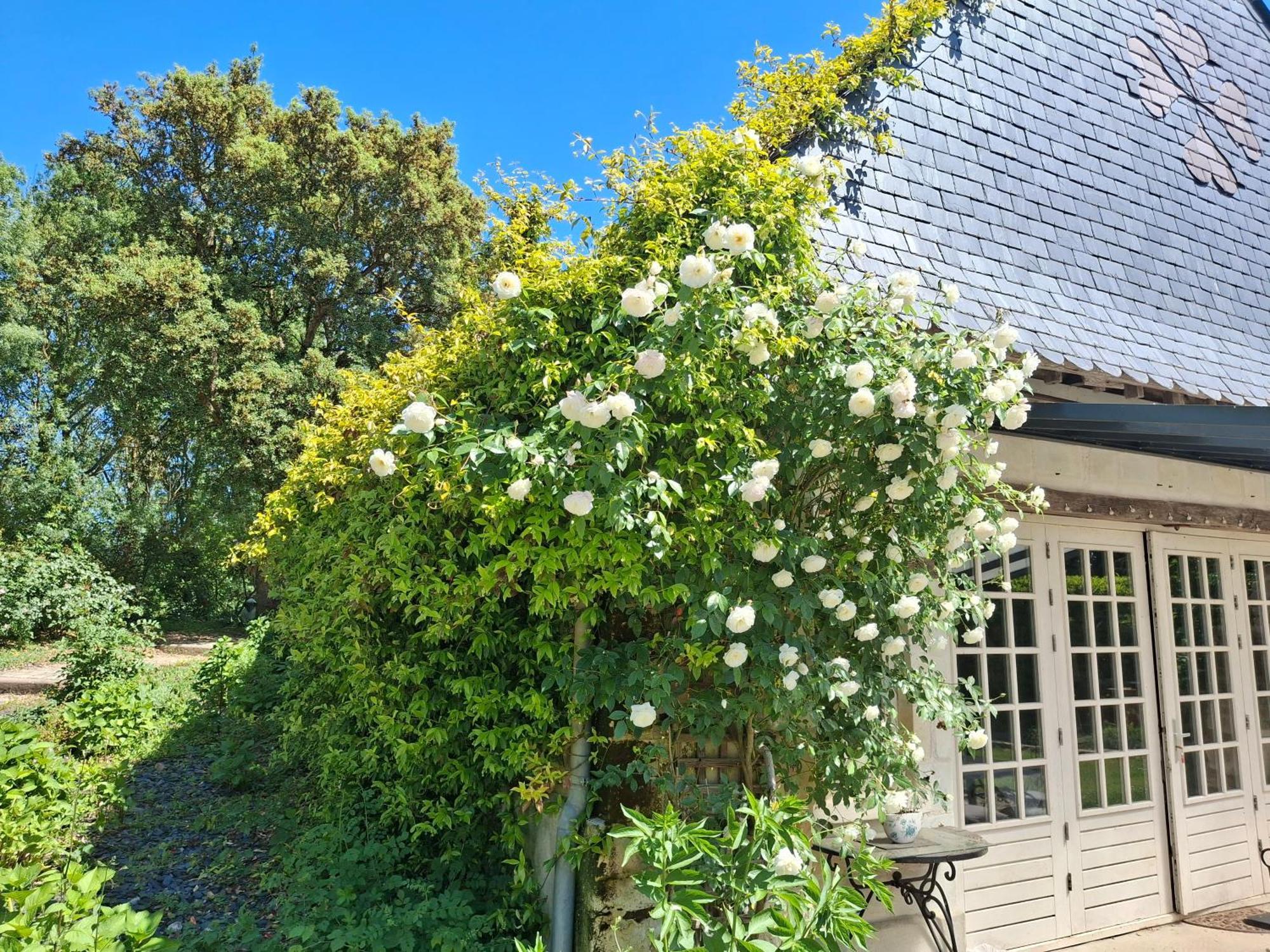 ブレゾン Le Mouton Bed & Breakfast エクステリア 写真